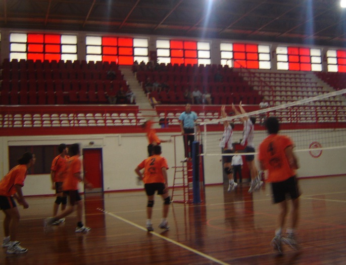 omilosvolley2011