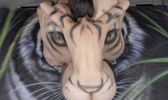 tiger