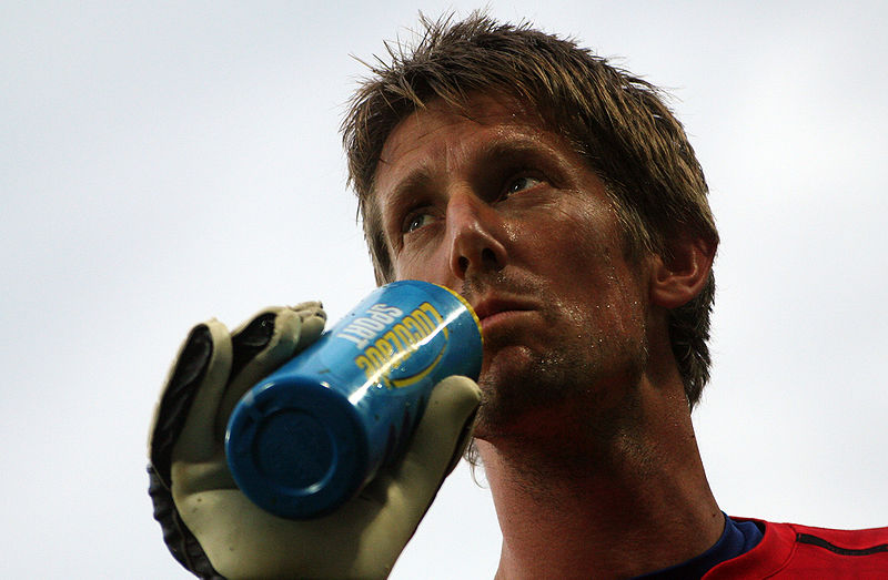 van der sar1